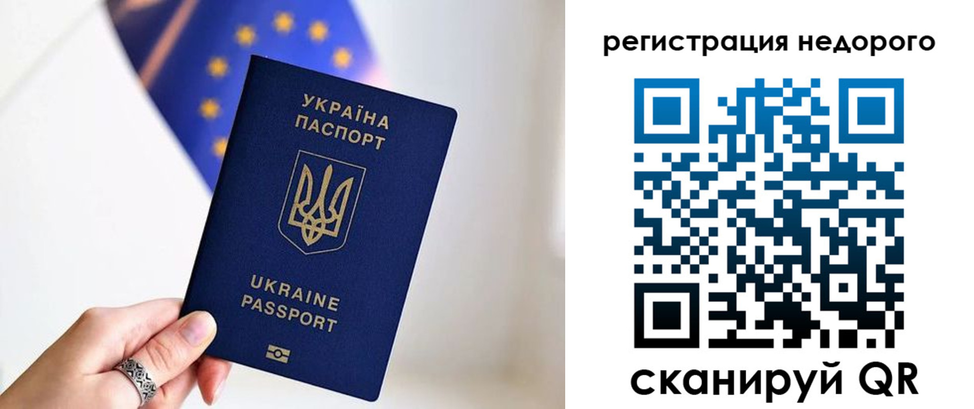 прописка 2025 в Палласовке